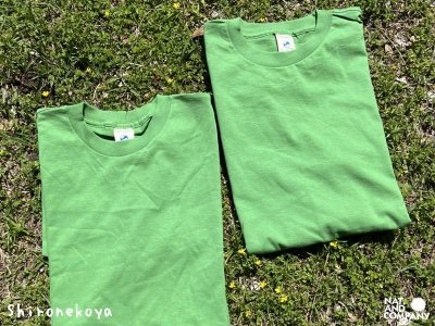 画像2: Ｔシャツ（M）２枚パック（オーガニックGreen）