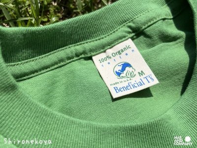 画像1: Ｔシャツ（M）２枚パック（オーガニックGreen）